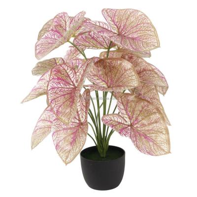 China Dongguan Natural Artificial Plants Real Touch Mini Indoor Tabletop Plant Artificial Small Colocasia Taro Plant for sale