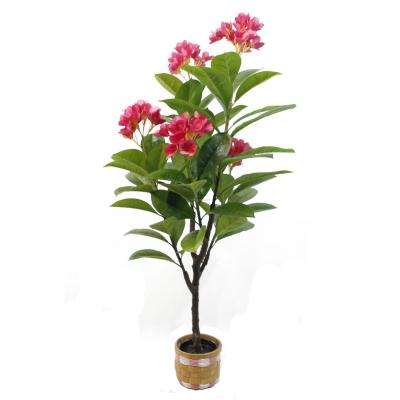 China China Supplier High Quality Natural Touch Decorative 160CM Bonsai Fake Plants Artificial Tree Plumeria Rubra Frangipani Flower Tree Potted for sale