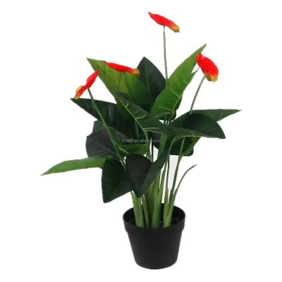 China Wholesale Natural Hot Sale Plant Faux Touch Bonsai Plants Anthurium With Potted Artificial Flower For Home And Garden Decoration for sale