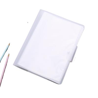 China Eco - Friendly Wholesale Professional Office Covers Pocket Plastic File Folder For Office for sale