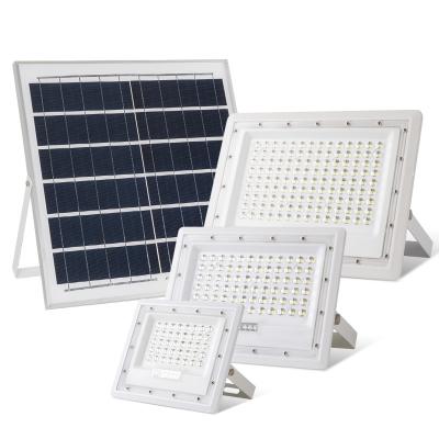 China APPLE Garden Shaped Flood Light Portable Outdoor Led Garden Light Solar Lights Led Floodlight With Remote Control for sale