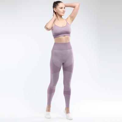 China Breathable Women Workout Women Yoga Pants Stretch Sports Fitness Shockproof Bra Set Seamless Ladies Yoga Clothing Set for sale