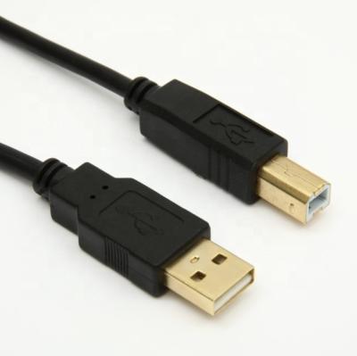 China COMPUTER USB2.0 AM to BM Printer Cable Gold Plated for sale