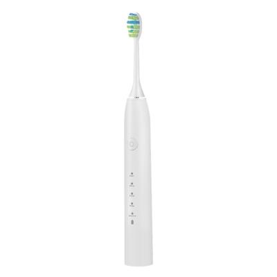 China Clean Teeth and Whiten Best Price USB Vibration 360 Teeth Electric Toothbrush Whitening Special Bristle USB Rechargeable Automatic 360 Battery Wireless Charging for sale