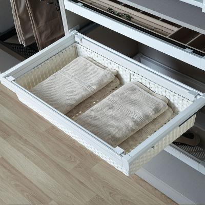 China (Other) High Quality Adjustable Clothes Storage Cabinet PVC Rattan Basket For Wardrobe With Soft Closing for sale