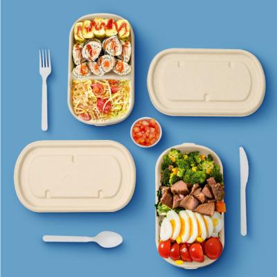 China New Classic/Postmodern Eco-Friendly Compostable Take Away Disposable Food Container Bagasse Pulp Lunch Box With Lid for sale