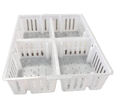 China Farms factory direct sale diaper chicks transport cage baby chick turnover box plastic material one day transport crate for sale