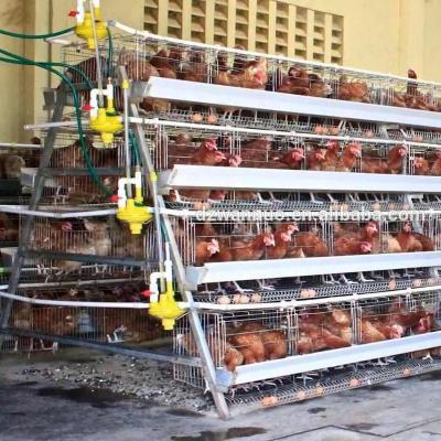 China Easily Clean Poultry Farm Layers Used Layer Battery Chicken Cage For Sale for sale