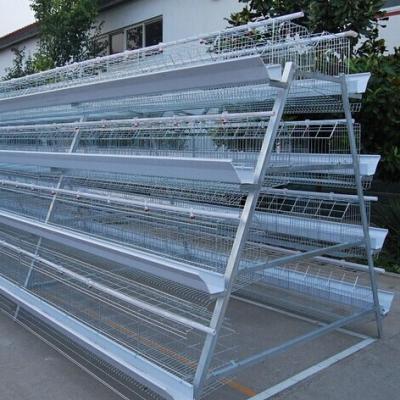 China Easily Clean Best Quality 3tiers A Type Broiler Cages 128 Layers H Type Chicken Breeding Cage for sale