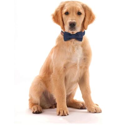 China Pet Accessories DETACHED Dog Collar With Bow Tie Cotton Fabric Collar for sale