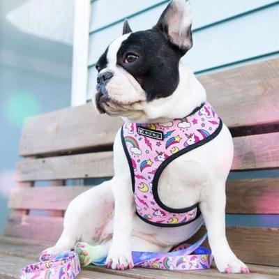 China Reversible DETACHED Mesh Dog Harness Cute Pet Harness for sale