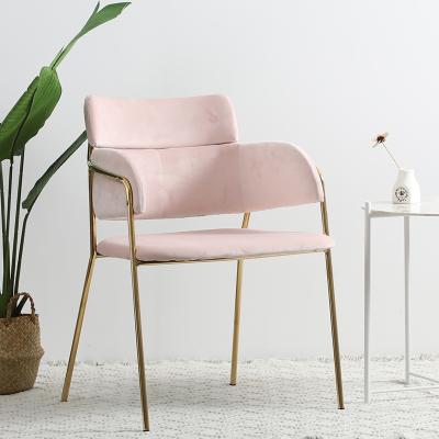 China Flannel Chair Custom Home Furniture Modern Luxury Stainless Steel Leg Pink Velvet Dining Chair for sale