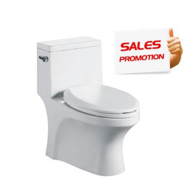 China Stylish Cheap Ceramic Bathroom Sanitary Ware Double Flush Design Siphonic One Piece Toilet for sale