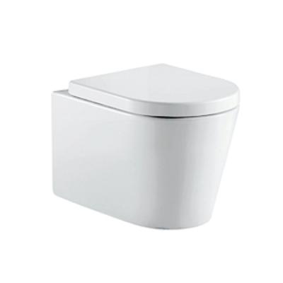 China Double-Flow RICHFORD CE 180mm Ptrap European Washdown WC Toilet Set Back to Wall Hung Toilet for sale