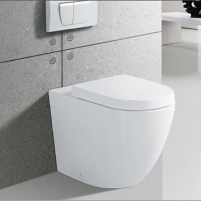 China Chinese Double-Flow Manufacturer Sanitary Ware Wall Hung Toilet Ceramic Back To Wall Toilet With Hidden Cistern for sale