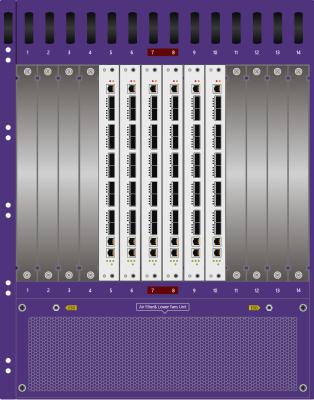 China Matrix Network Traffic Capture Packet Broker Plug in Module for Data Center Traffic Collection for sale