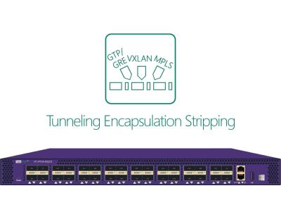 China Tunnelbau-Protokoll-Aufkleber-Titel-Abstreifen des NPB-Netz-Paket-Sauganleger-GTP GRE PPTP L2TP PPPOE zu verkaufen