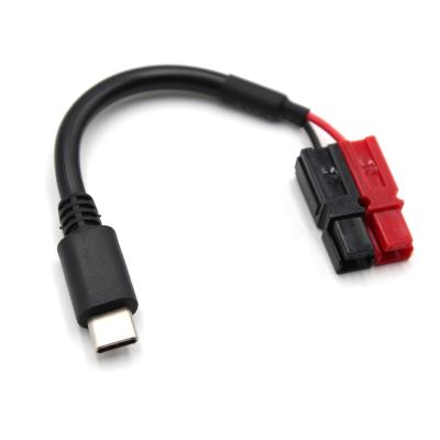 China Power Manufacturer Custom 10Cm USB Connector C To PP15 Cable Fill Wires 22Awg C Type for sale