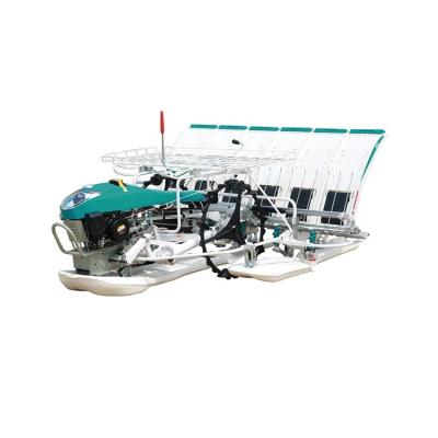 China 0.34 - 0.80 Seeds Planting Machine Manual Rice Transplanter 4 Rows Agriculture Speed ​​M/s Rice Planter Manual Rice Transplanter for sale