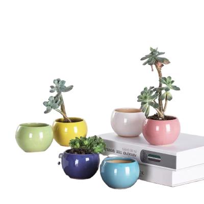 China Factory Wholesale Cheap Modern Mini Succulent Flower Pot Ceramic Pots With Drainage for sale