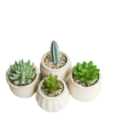 China Wholesale Modern Minimalist Modern Plant Pot Nursery Indoor Small Succulent Pots Indoor Succulent Pots Without Drain Hole for sale