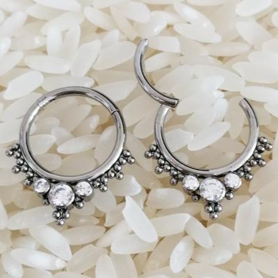 China New CLASSIC [SJ-722] Style ASTM F136 High Quality Titanium Hinged Septum Clickers Segment Piercing Nose Rings Body Jewelry Wholesale for sale