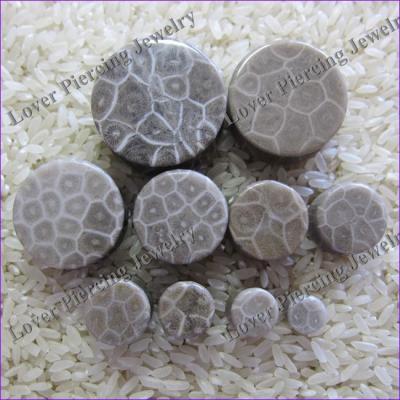 China CLASSIC [SE-S711] High Polish Natural Fossl Wholesale Coral Stone Ear Gauges Plugs for sale