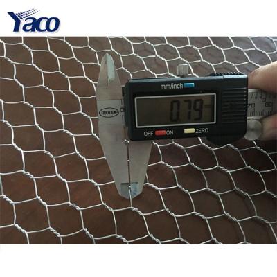 China Hot Sale Chinese Market Online Wire Mesh Anti - Corrosion Used For Chicken Fencing for sale