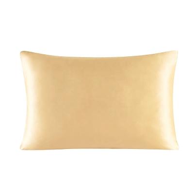 China Anti Dust Mite 30MM Hidden Zipper Pillow Case Both Sides 100% Mulberry Silk Pillowcase for sale