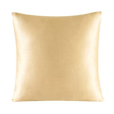 China Anti Dust Mite 30MM Cushion Cover 100% Silk Zipper Pillow Cover Sold Colors Many Size for sale