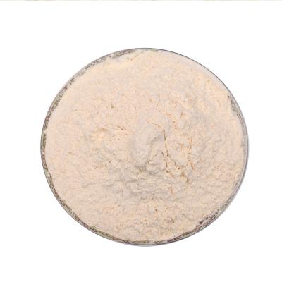 China 2021 Dry Dry Organic Garlic Powder 300 Mesh for sale