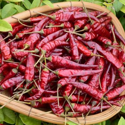 China 100% Pure Hotpot Cayenne Red Pepper Chilli Dried Red Chilli Buyers for sale