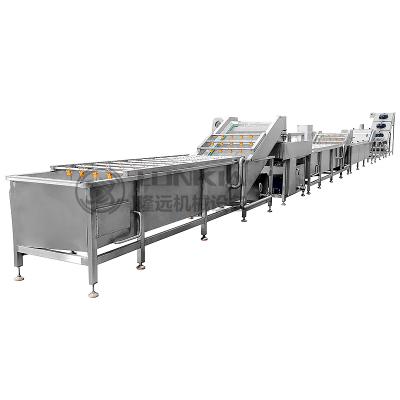 China Fully automatic vegetable Processing line Mushroom cabbage pickle washing and cutting line for sale