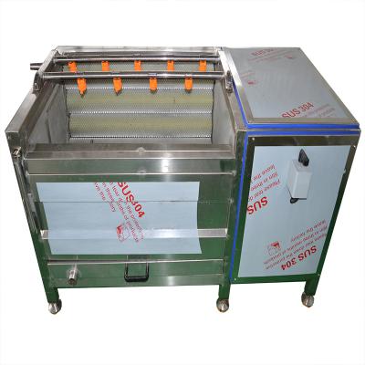 China Factory customization potato washing and peeling machine ginger washing peeling machine for sale