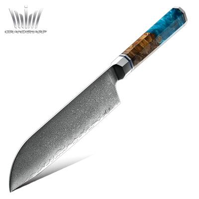 China New Design Viable Damascus Chef Knife 67 Layers VG-10 Damascus Kitchen Cooking Santoku Knives With Resin Handle for sale