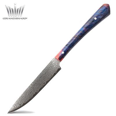 China Grandsharp Steak Knife Damascus Kitchen Knife vg10 Viable Japanese Steel Steak Slicer Small Paring Chef's Knives for sale