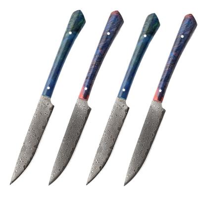 China Sustainable 4 Damascus Knife Set Set Japanese Dining Table Pro Chef vg10 Tool Best Family Gift Cutlery Unserrated Steak Knife Set for sale