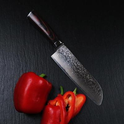 China Sustainable Santoku Damascus Knife 8