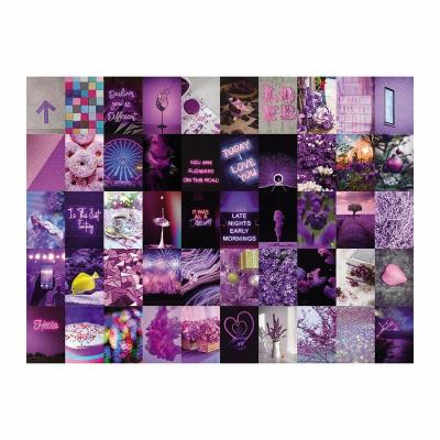 China 50 PCS 4*6 New Modern Aesthetic Girl's Bedroom Teen Pink Picture Custom Wall Collage Kit for sale