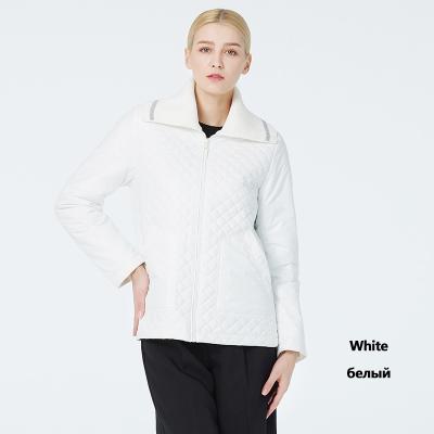 China Stylish Spring Autumn Coat For Women Short Waist Knitted Collar Short Spring Coat for sale