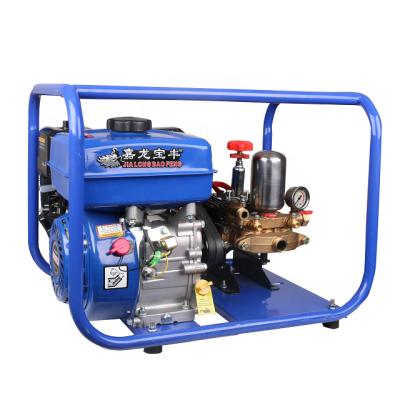 China 6.5hp 22mm Gasoline Engine High Efficient Portable High Pressure Power Sprayer Agriculture Machine for sale