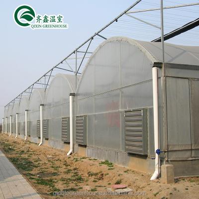 China Customized High Quality Greenhouse Pakistan With UV Resistant Film for sale