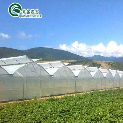 China 200 Micron Large Plastic Sheet Vegetable UV Resistant Greenhouse Agriculture Plastic Tomatoes Flowers Fruit Cover for sale