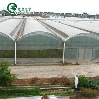 China Vegetable Fruit Flower Tomatoes The Cheapest Price Hydroponics System Without Soil Film Greenhouse for sale