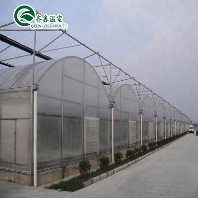 China Sale Economic Hot Film Tunnel Agricultural Greenhouse for sale