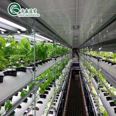 China Vegetable Fruits Flowers Tomatoes Galvanized Pipes Film Greenhouse With Hydroponics Grow System for sale