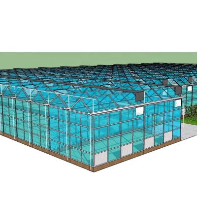 China Customized Vegetable Greenhouse For Restaurant for sale