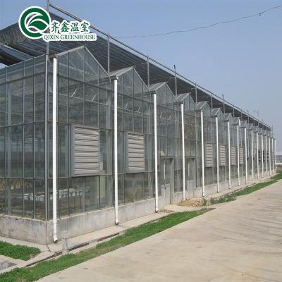 China Indoor Planting System Of Tray Glass Greenhouse With Nft Flower Vegetable Tomato Fruits for sale