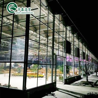 China Prefab Flower Vegetable Tomato Fruit Rain Shelter Fiberglass Panel Greenhouse For Tomato for sale