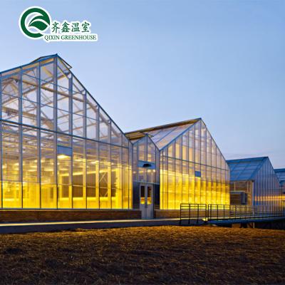 China Decorative Commercial Glass Flower Vegetable Tomatoes Fruit Greenhouse For Argentina for sale